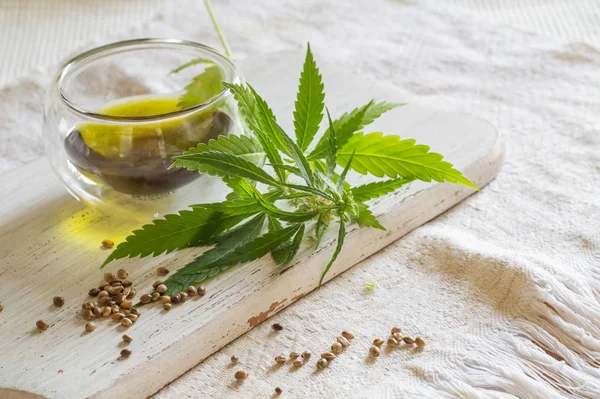Hemp products concept. Seeds, cannabis oil and green plant on ho — Stock Photo, Image
