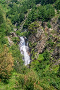 Uzun köknar ağaçlarıyla kaplı kayalık dağlarda şelale.