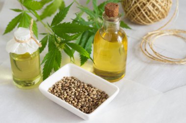 Kenevir ürünü konsepti. Kenevir yağlı şişeler, iplik ve yeşil bir bitki.