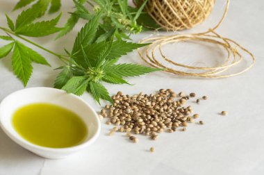 Kenevir ürünü konsepti. Esrar tohumu yağı, skein ve yeşil bitki