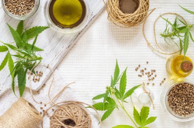 Kenevir ürünü konsepti. İp, pişirme yağı, tohum ve kenevir bitkisi