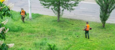 Turuncu yelekli iki kamu görevlisi bir parkta el gazı biçme makinesiyle çim biçiyor.