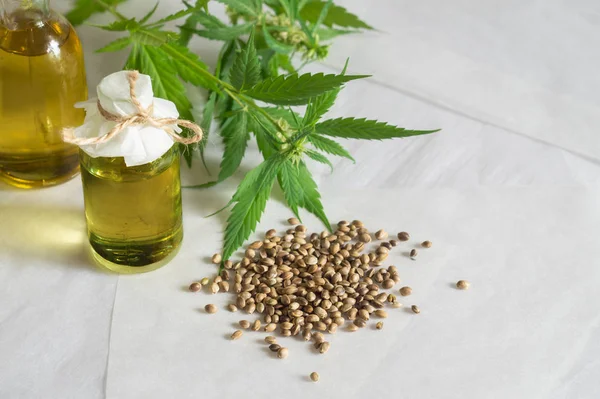 Hemp products concept. Cannabis seed oil and green plant — Stock Photo, Image