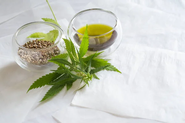 Hemp products concept. Cannabis seed oil and green plant — Stock Photo, Image