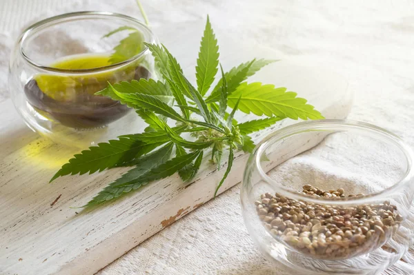 Hemp products concept. Seeds, cannabis oil and green plant on homespun cloth — Stock Photo, Image