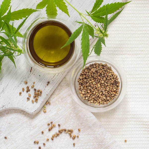 Hemp products concept. Seeds, cannabis oil and green plant on homespun cloth — Stock Photo, Image