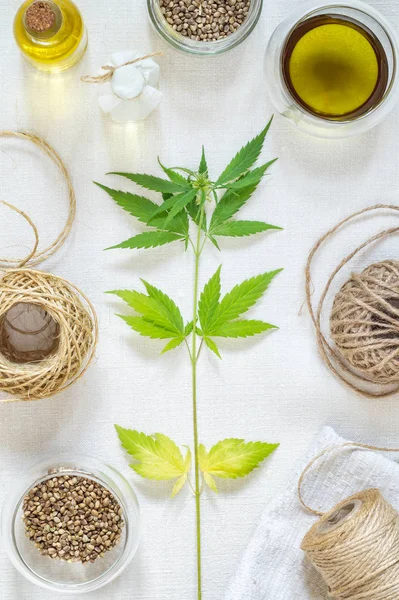 Concepto de productos de cáñamo. Cuerda, aceite de cocina, semillas y planta de cannabis — Foto de Stock