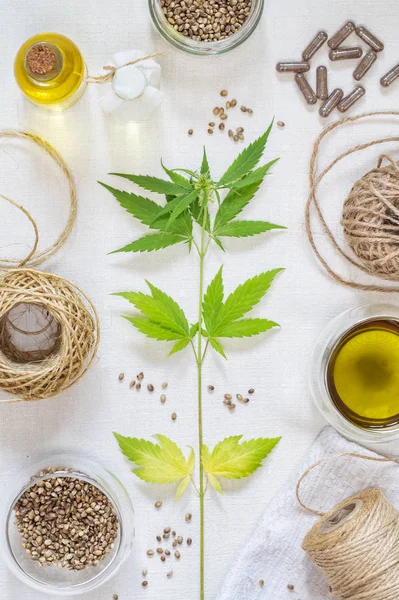 Concepto de productos de cáñamo. Cuerda, aceite de cocina, cápsulas medicinales y planta de cannabis — Foto de Stock