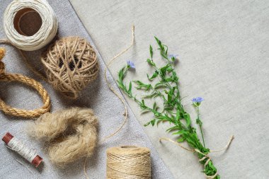 Keten tekstil ürünleri, kumaş, iplik, ip ve çiçek açan keten.