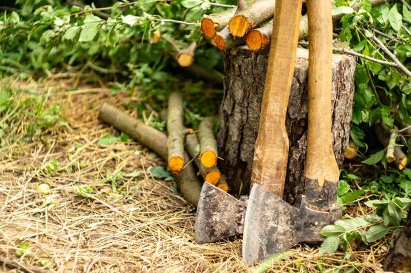 Två Gamla Yxor Nära Stubben Och Hackade Grenar — Stockfoto