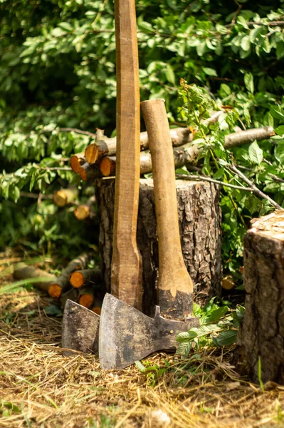 İki eski balta kütük ve kesilen dalların yanında.