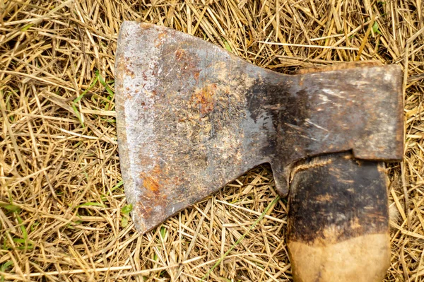 干し草の上の古い斧 — ストック写真