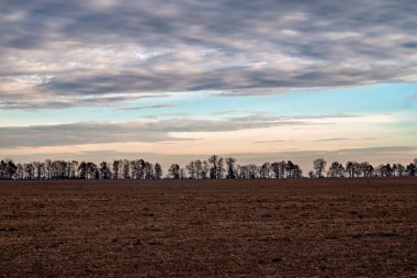 Ufukta çıplak ağaçlarla kasvetli sonbahar manzarası bulutlu gökyüzü ve hasat edilmiş bir tarla.