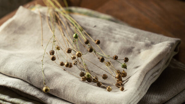 Bunch of dry flax plants on linen textile