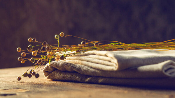 Bunch of dry flax plants on linen textile