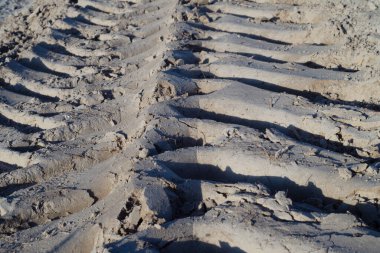 Büyük bir lastik izinden toprak yolda bir iz.