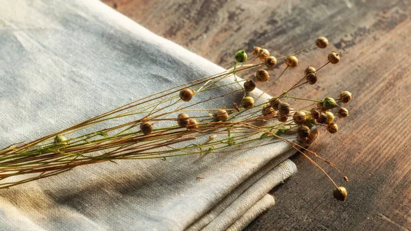 Keten tekstil üzerinde keten tohumu kapsüllü kuru keten bitkileri.