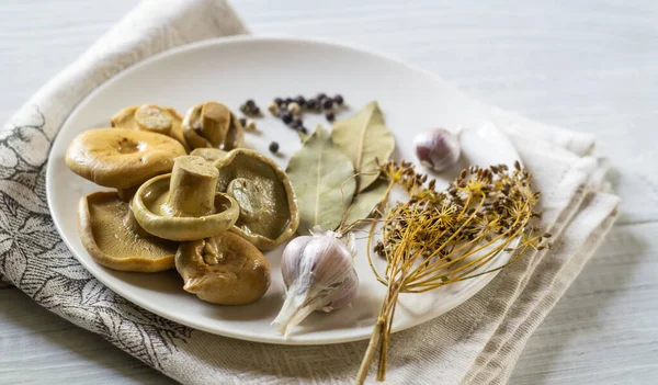 Tuzlu beyaz süt mantarı, dereotu, defne yaprağı ve sarımsak pişirmek için. — Stok fotoğraf