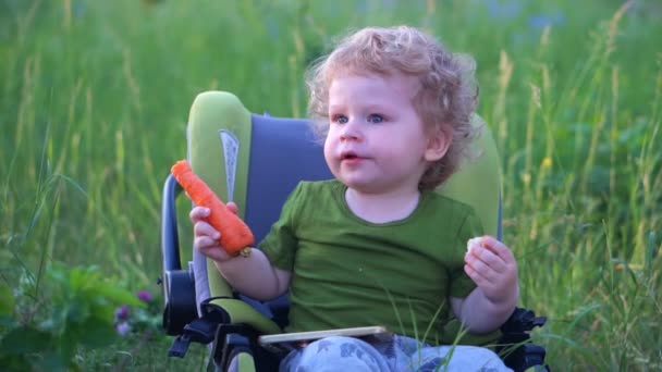 Little boy eating carrot in the forest — Stock Video