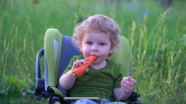 Petit garçon mangeant des carottes dans la forêt — Video