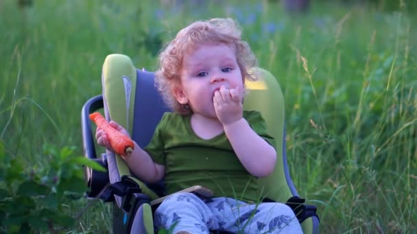 Маленький хлопчик їсть моркву в лісі — стокове відео