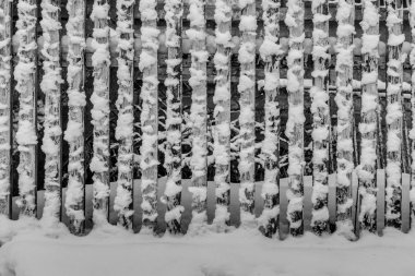 Kış manzarası. Karda çit doku.