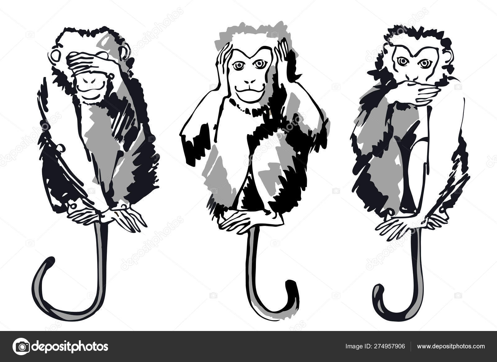 Three Wise Monkeys Black White Graphics White Background Vector Image Vector Image By C P G Chaumette Gmail Com Vector Stock Three Wise Monkeys Black White Graphics White Background Vector Image Vector Image By C P G Chaumette Gmail Com Vector Stock