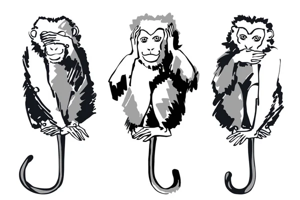 Drei Weise Affen Schwarz Weiße Grafiken Auf Weißem Hintergrund Vektorbild — Stockvektor