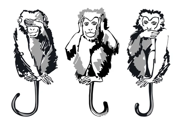 Trois Singes Sages Graphiques Noir Blanc Sur Fond Blanc Image — Image vectorielle