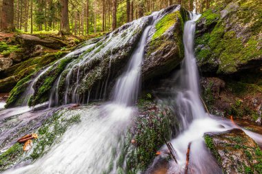 Çek Cumhuriyeti 'ndeki Krkonose Ulusal Parkı' nda çağlayan şelale.