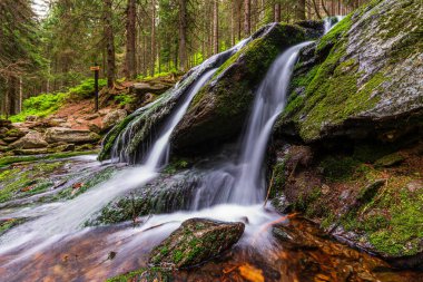 Çek Cumhuriyeti 'ndeki Krkonose Ulusal Parkı' nda çağlayan şelale.