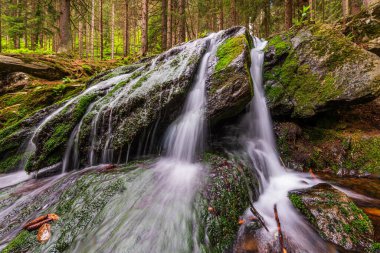 Çek Cumhuriyeti 'ndeki Krkonose Ulusal Parkı' nda çağlayan şelale.