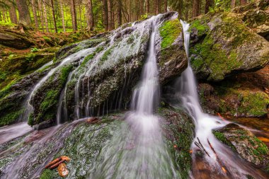 Çek Cumhuriyeti 'ndeki Krkonose Ulusal Parkı' nda çağlayan şelale.