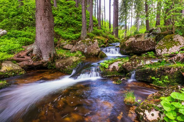 Çek Cumhuriyeti 'ndeki Krkonose Ulusal Parkı' nda çağlayan şelale.