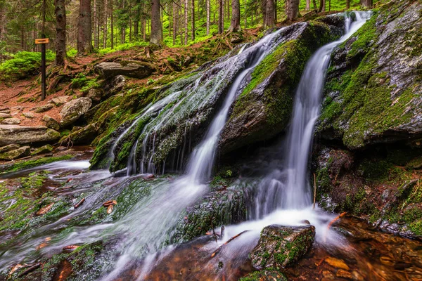 Çek Cumhuriyeti 'ndeki Krkonose Ulusal Parkı' nda çağlayan şelale.