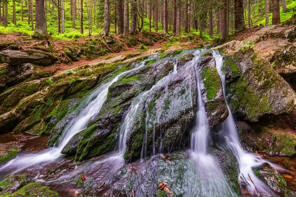 Çek Cumhuriyeti 'ndeki Krkonose Ulusal Parkı' nda çağlayan şelale.