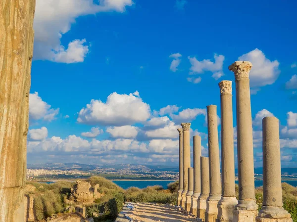 Gumiabroncsok Ókori Római Kori Romjai Libanon — Stock Fotó