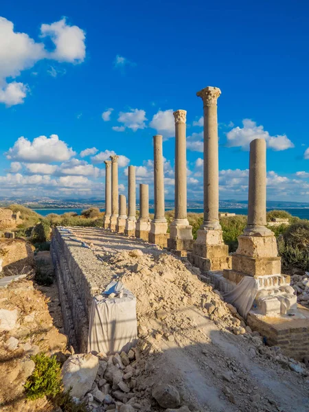 Ruines Romaines Antiques Tyr Liban — Photo