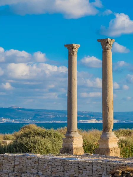 Ruines Romaines Antiques Tyr Liban — Photo