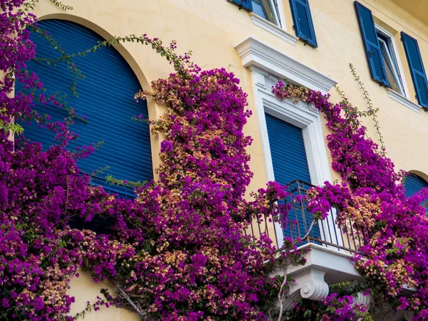 Hermosa Casa Colores Rodeada Flores Plantas Monterosso Mare Cinque Terre — Foto de Stock