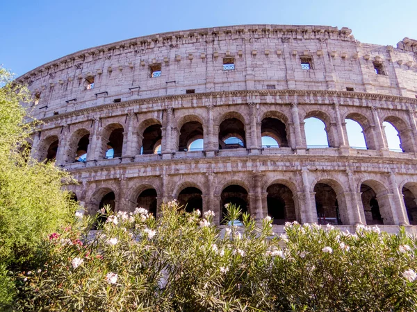 Visa Antika Italienska Staden Colosseum Distriktet Dagtid 2016 Rom Italien — Stockfoto