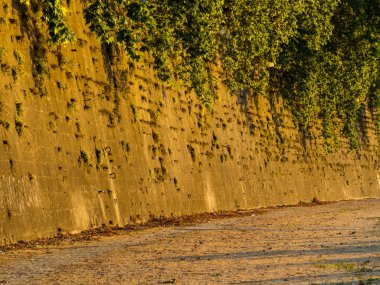 Tiber Nehri 'nin batımında. In Roma, Italya 