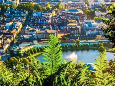 Lille Lungegardsvannet Gölü manzarası, Bergen, Norveç