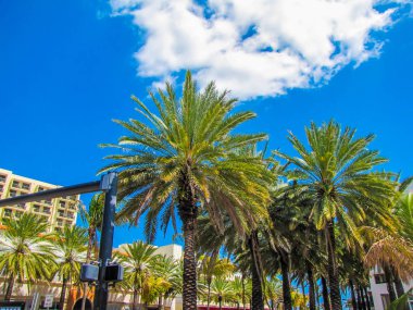 Collins Avenue üzerinde Miami Beach, Florida, Amerika Birleşik Devletleri 