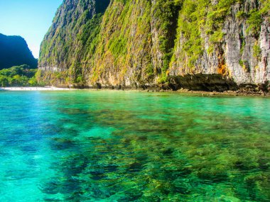 Maya bay, Tayland