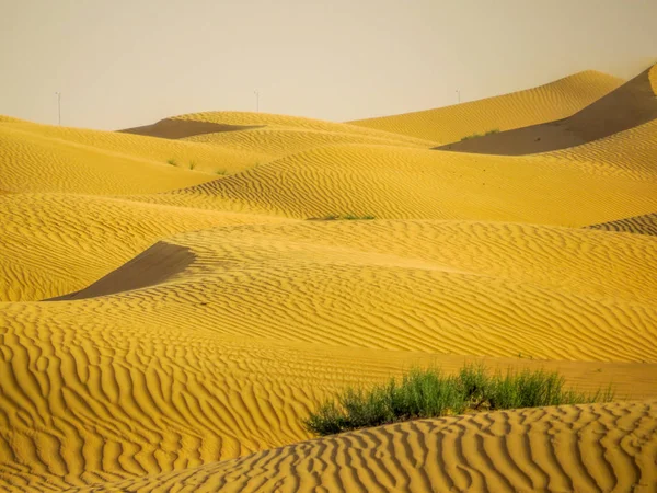 Wüstenlandschaft Dubais — Stockfoto