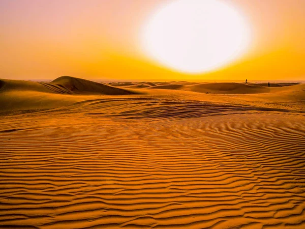 Magischer Sonnenuntergang in der Wüste — Stockfoto