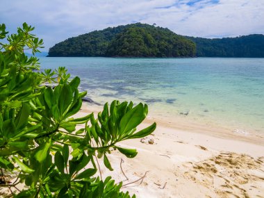 Langkawi, Malezya tropikal plaj 