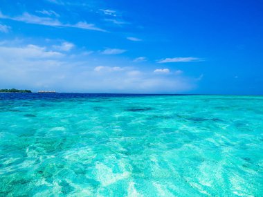 Maldivler'de İnanılmaz Deniz 