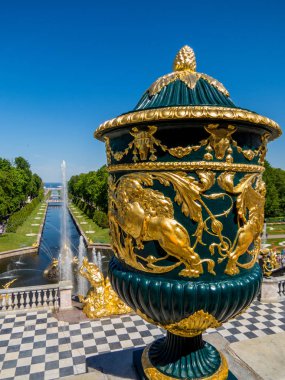 Peterhof, St. Petersburg, Rusya Federasyonu